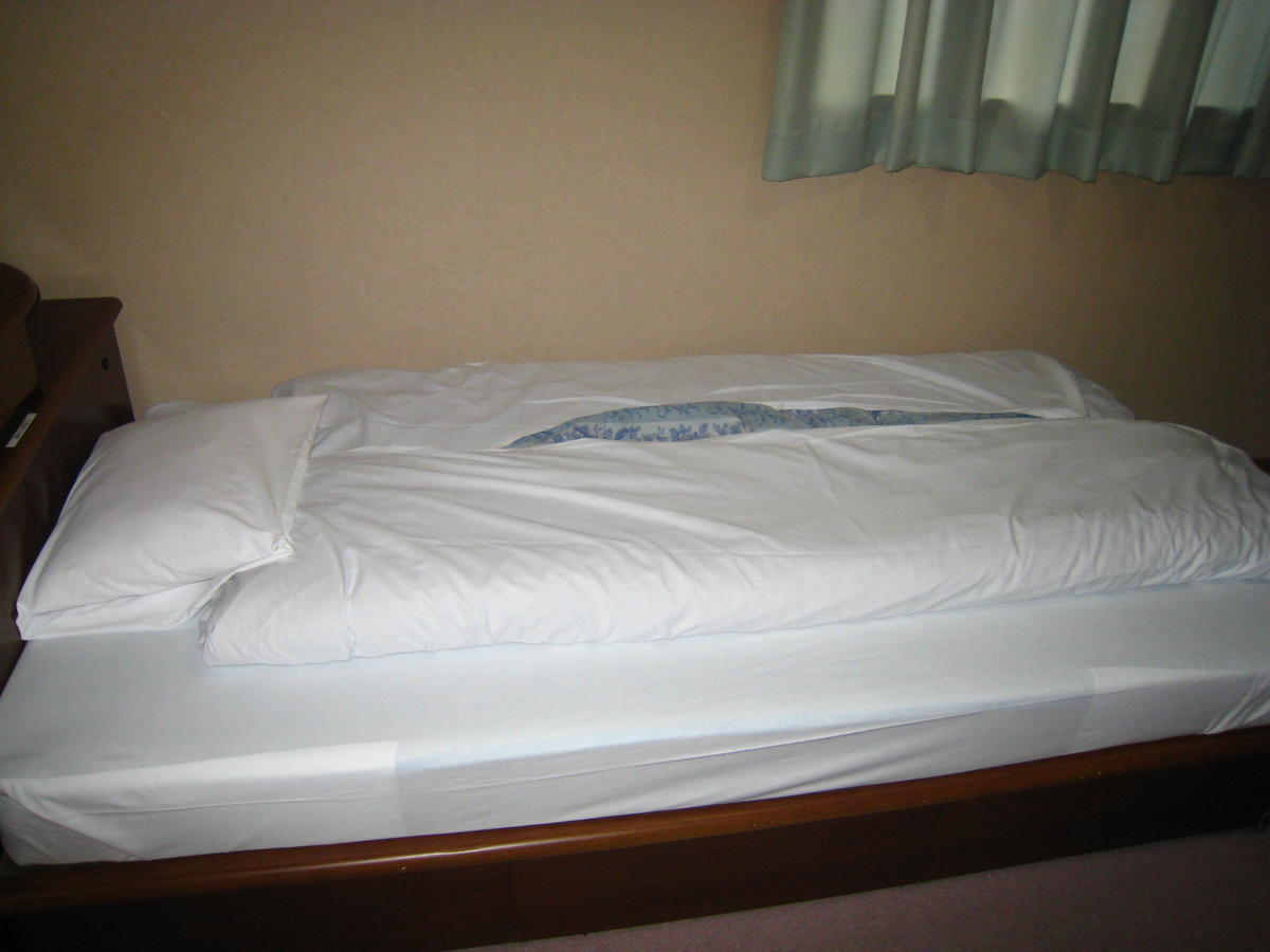 Business Hotel Ojiro ชิซุโอกะ ห้อง รูปภาพ